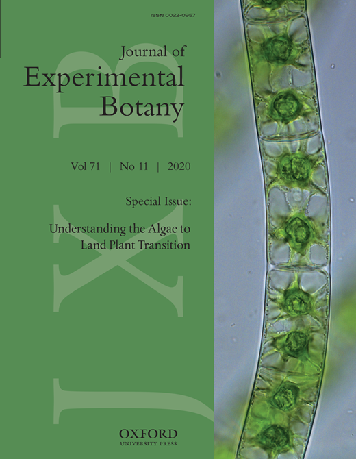 JOURNAL OF EXPERIMENTAL BOTANY